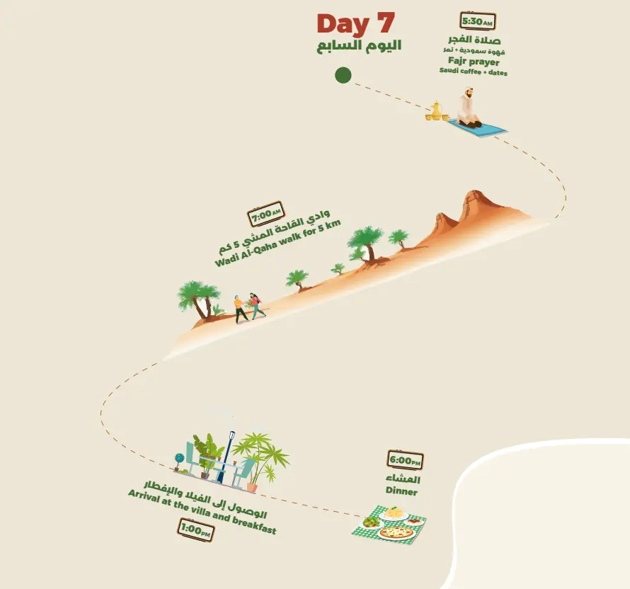 Product Image for Day 7